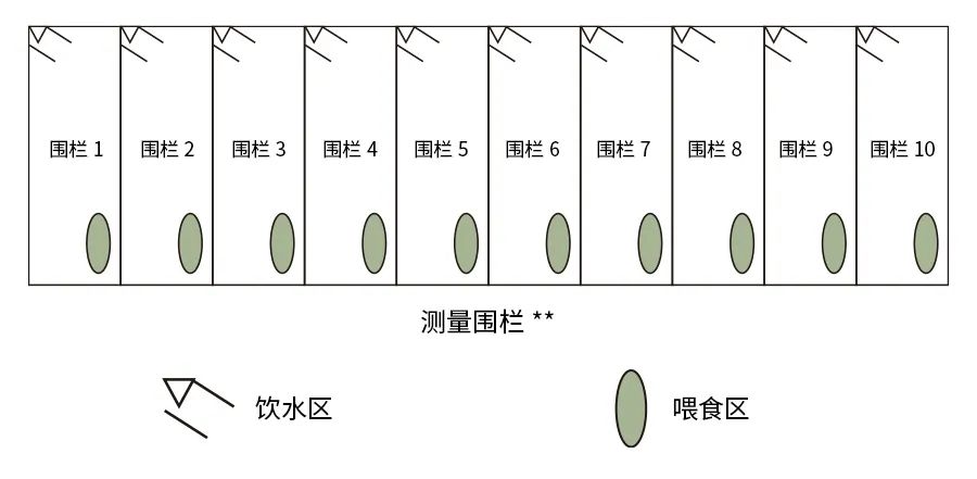 農(nóng)場動物飼養(yǎng)3.jpg